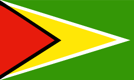 Guyanese Flag