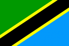 Tanzanian Flag